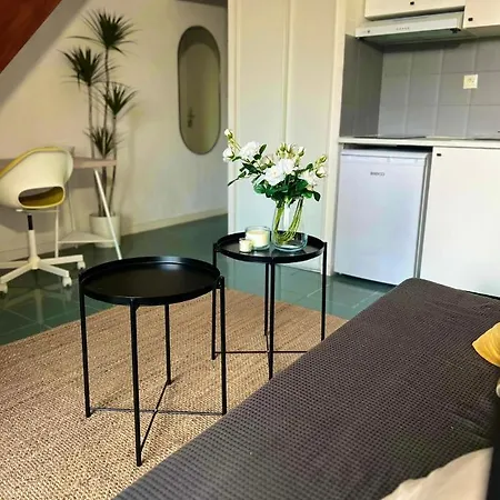 Duplex Lumineux A Compans - Proche Capitole - Metro, Universite A Pied - Wifi & Entree Autonome *