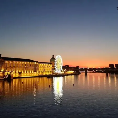 Apartment Duplex Cosy A Compans - Universite Capitole - Metro, Centre Affaire A Pied - Wifi & Entree Autonome